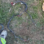 2005 Ford Mustang Gt 4.6L M/t Coupe Starter Battery Harness Cable Plug 2585 Used. Price: $99.99.