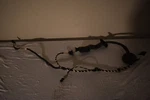 Volkswagen Tiguan Awd Rear Right Door Wire Harness 2018-2024 Oem 5NN 971 694 Used. Price: $50.00.