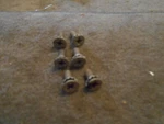 Nos 1971 - 1973 Ford Mustang Door Latch Mounting Screws Set Lot Of 6 Pieces New. Price: $19.99.
