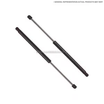Hatch Lift Support Pair For Volkswagen Tiguan 2009-2017 New. Price: $76.41.