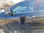 Driver Front Door Textured Black Moulding Fits 19-20 Sorento 2834585 Used. Price: $352.69.
