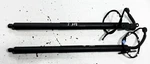 2011-2017 Bmw F25 X3 Left & Right Liftgate Strut Shock Cylinder Support Oem Used. Price: $89.90.