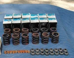 (12) Nos 1965-69 Corvette Chevelle Camaro Impala 396 427 Valve Springs 3859911 New. Price: $125.00.