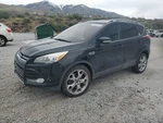 Tailgate Lock Actuator Oem 2011 Ford Escape 1YR Wrnty Used. Price: $170.00.