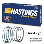 Hastings Piston Rings X4 For Peugeot 306 309 406 Xsara Zx 1.8 1.9GTI XU7J4 XU9J4 New. Price: $70.19.