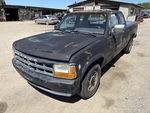 Engine Ecm Electronic Control Module Right Hand Fender Fits 93 Dakota 1497676 Used. Price: $100.00.