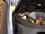 Passenger Right Hood Hinge Fits 07 Jetta 3761192 Used. Price: $20.00.